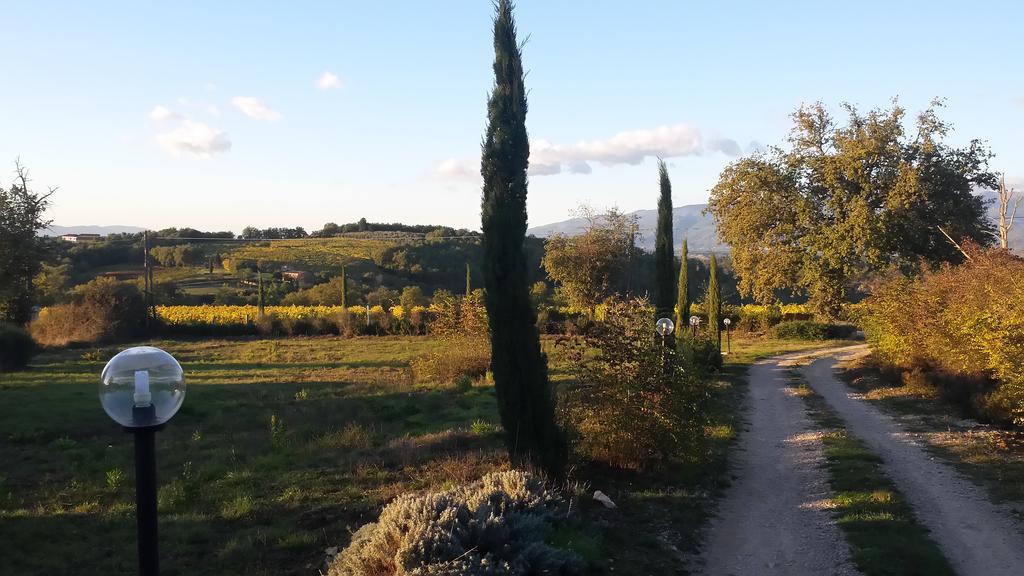 Agricampeggio Madonna Di Pogi Bucine Exterior photo