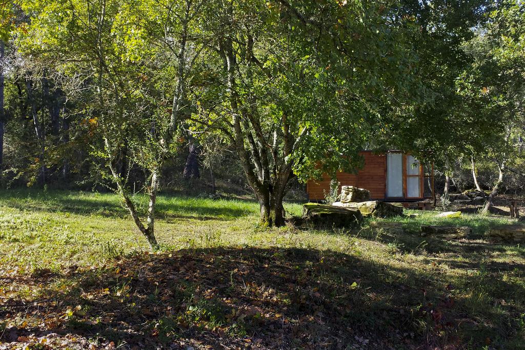 Agricampeggio Madonna Di Pogi Bucine Room photo